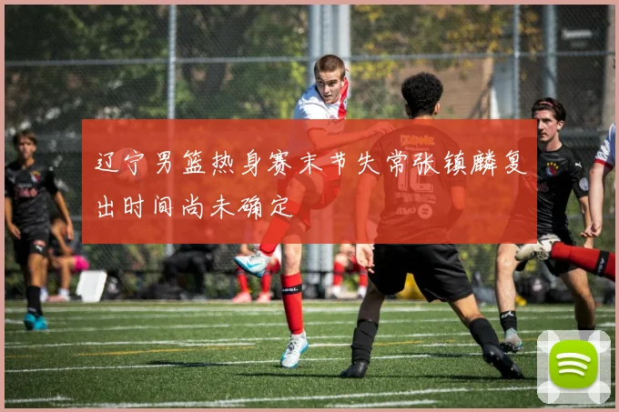 辽宁男篮热身赛末节失常张镇麟复出时间尚未确定
